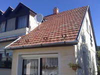 /album/referencia-kepek/dsc-0351-jpg/